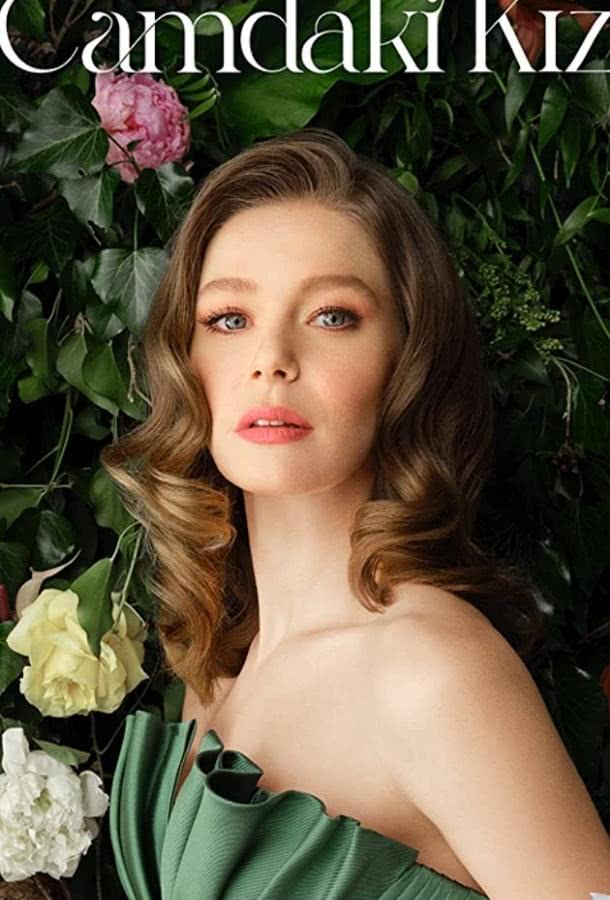 Девушка за стеклом (1 сезон)