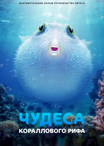 Чудеса кораллового рифа (2021)